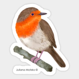 Robin RedBreast Bird Sticker